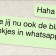 Blauwe vinkjes Whatsapp