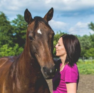 ’t Wereldje (112) met paarden streamen, HTC en robots!