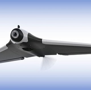 Parrot disco