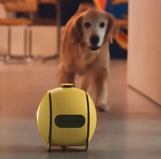 Ballie van Samsung met hond