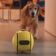 Ballie van Samsung met hond