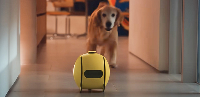 Ballie van Samsung met hond