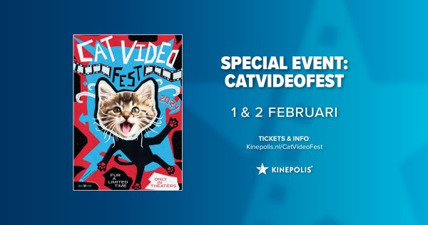 Overdosis aan kattenfilmpjes? Kinepolis organiseert CatVideoFest!