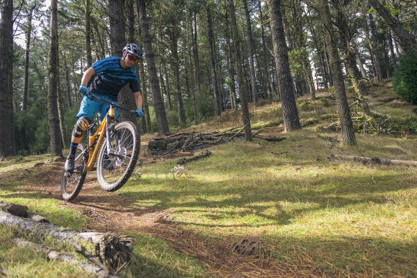 Iemand is aan het mountainbiken in Madeira. Je ziet een bossige omgeving
