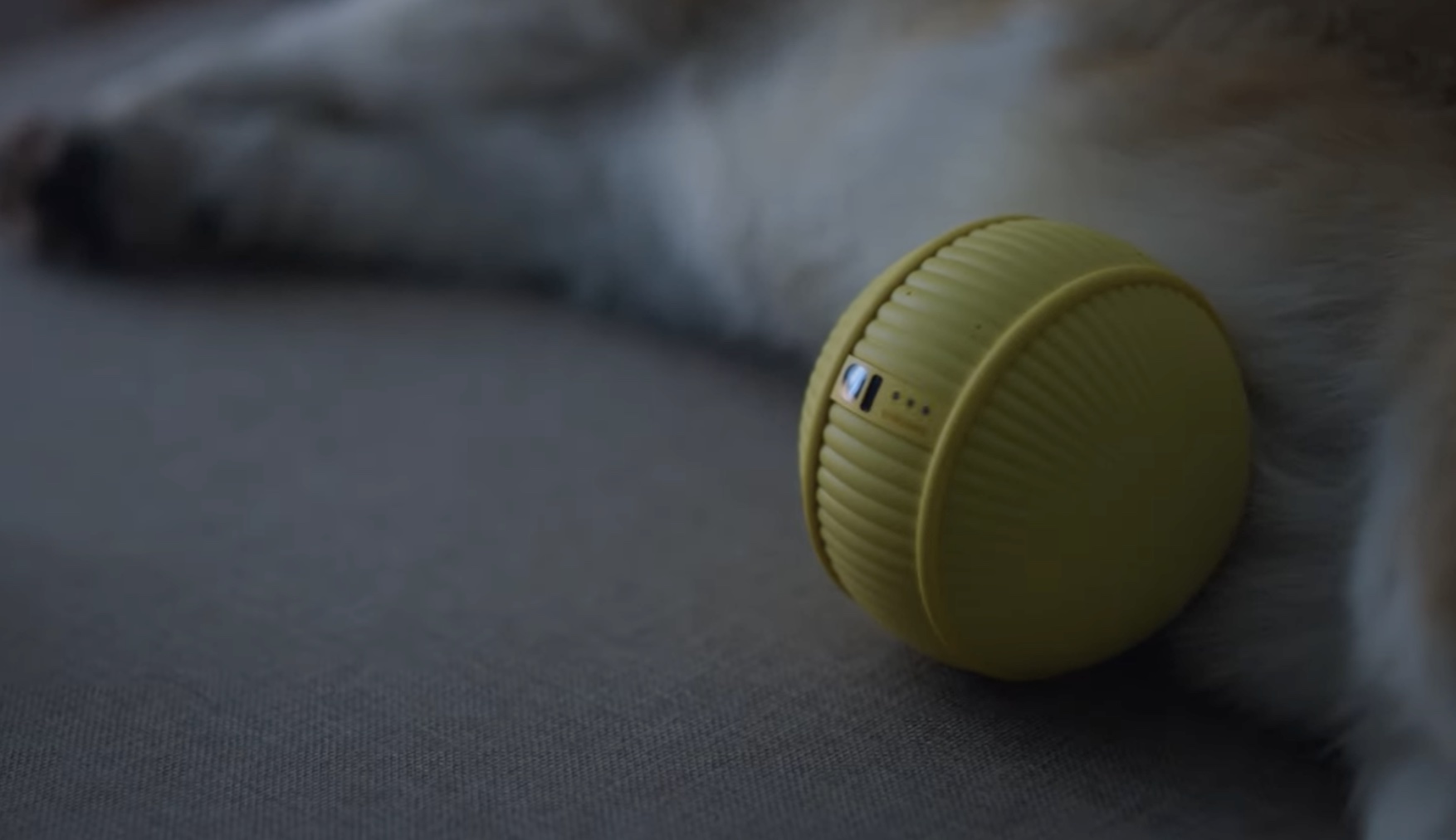 Samsung Ballie. De balrobot die ligt bij een hond.